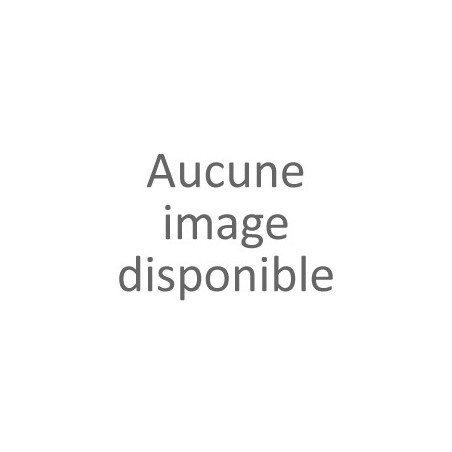 Inflammateur 1,5 m avec raccord rapide